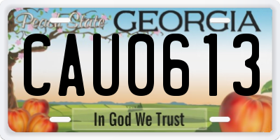 GA license plate CAU0613