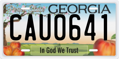 GA license plate CAU0641