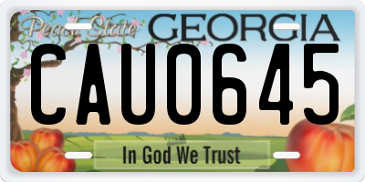 GA license plate CAU0645