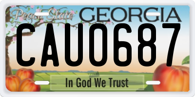 GA license plate CAU0687