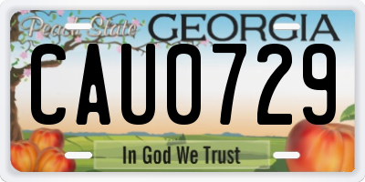 GA license plate CAU0729