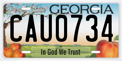 GA license plate CAU0734