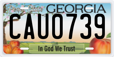 GA license plate CAU0739