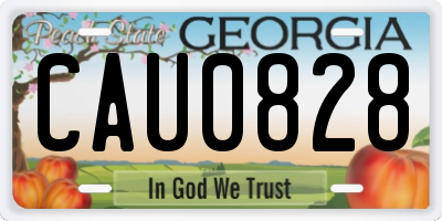 GA license plate CAU0828