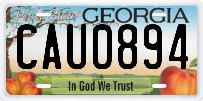 GA license plate CAU0894