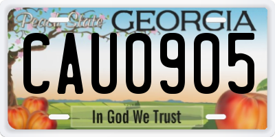 GA license plate CAU0905