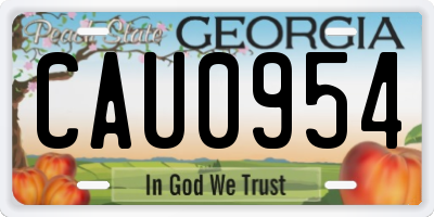 GA license plate CAU0954