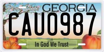 GA license plate CAU0987
