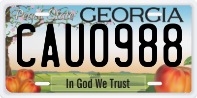 GA license plate CAU0988