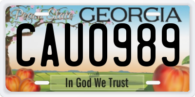 GA license plate CAU0989