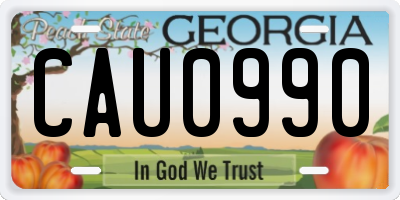 GA license plate CAU0990