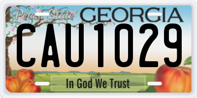 GA license plate CAU1029