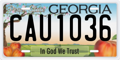 GA license plate CAU1036