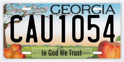 GA license plate CAU1054