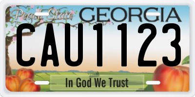 GA license plate CAU1123