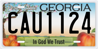 GA license plate CAU1124