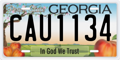 GA license plate CAU1134