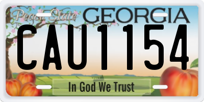 GA license plate CAU1154
