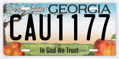 GA license plate CAU1177