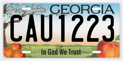 GA license plate CAU1223