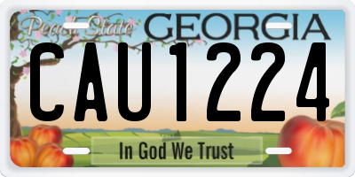 GA license plate CAU1224