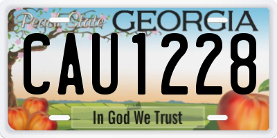 GA license plate CAU1228