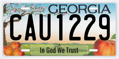 GA license plate CAU1229