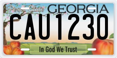 GA license plate CAU1230