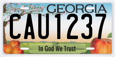 GA license plate CAU1237