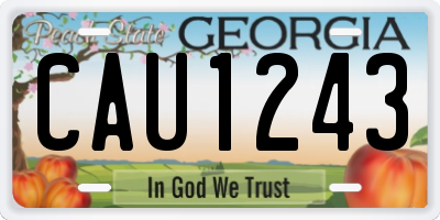 GA license plate CAU1243