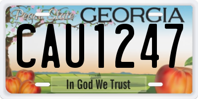 GA license plate CAU1247