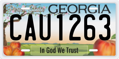 GA license plate CAU1263