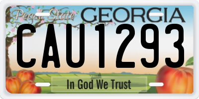 GA license plate CAU1293
