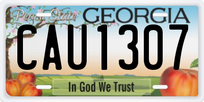 GA license plate CAU1307