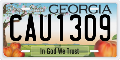 GA license plate CAU1309