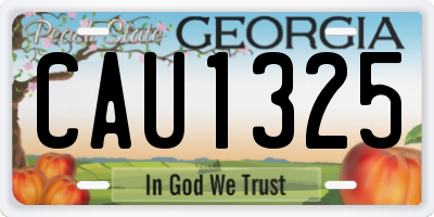 GA license plate CAU1325