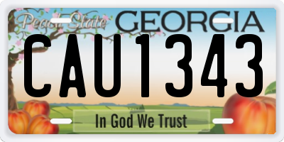 GA license plate CAU1343