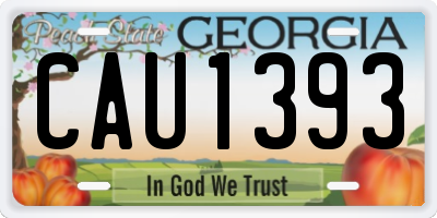 GA license plate CAU1393