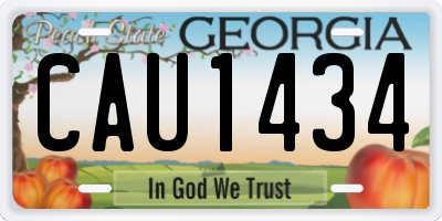 GA license plate CAU1434