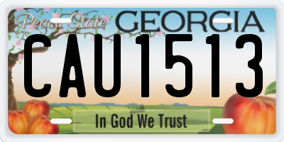 GA license plate CAU1513