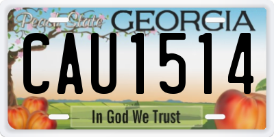 GA license plate CAU1514