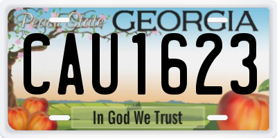 GA license plate CAU1623