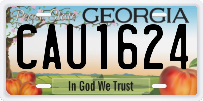 GA license plate CAU1624