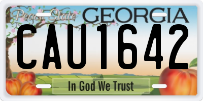 GA license plate CAU1642