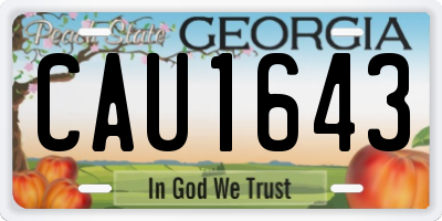 GA license plate CAU1643