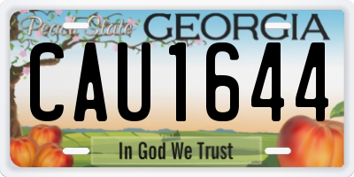 GA license plate CAU1644