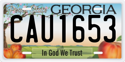 GA license plate CAU1653