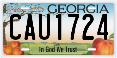 GA license plate CAU1724