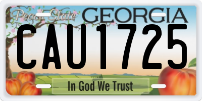 GA license plate CAU1725