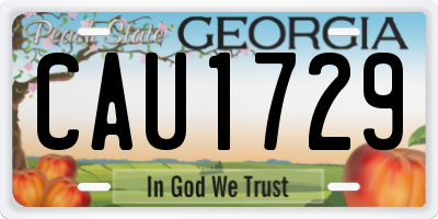 GA license plate CAU1729